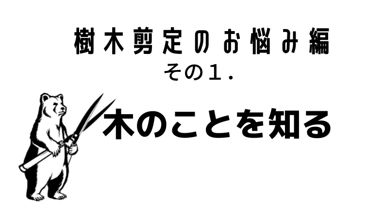 樹木の剪定お悩み編その１　木のことを知る